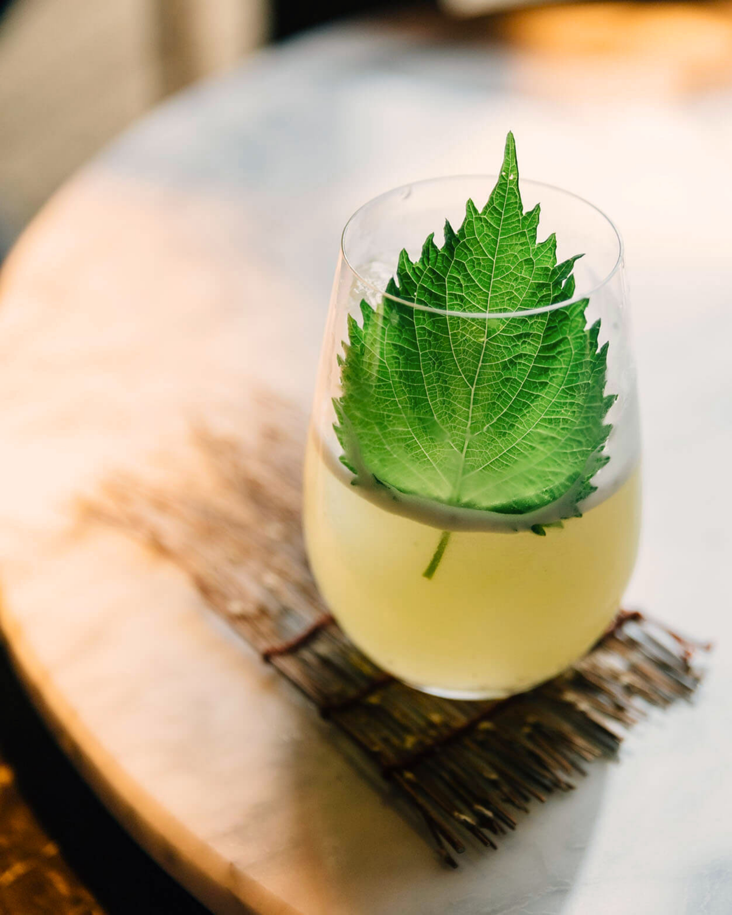 OTTER LEAF